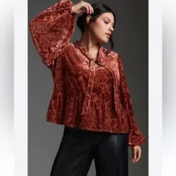 Anthropologie Velvet Tie Neck Blouse - Picture 1 of 9